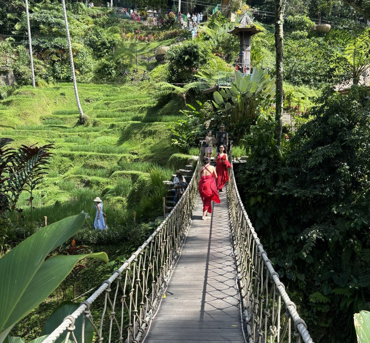 Alas Harum na Bali – czy warto? Atrakcje, ceny i nasze wrażenia